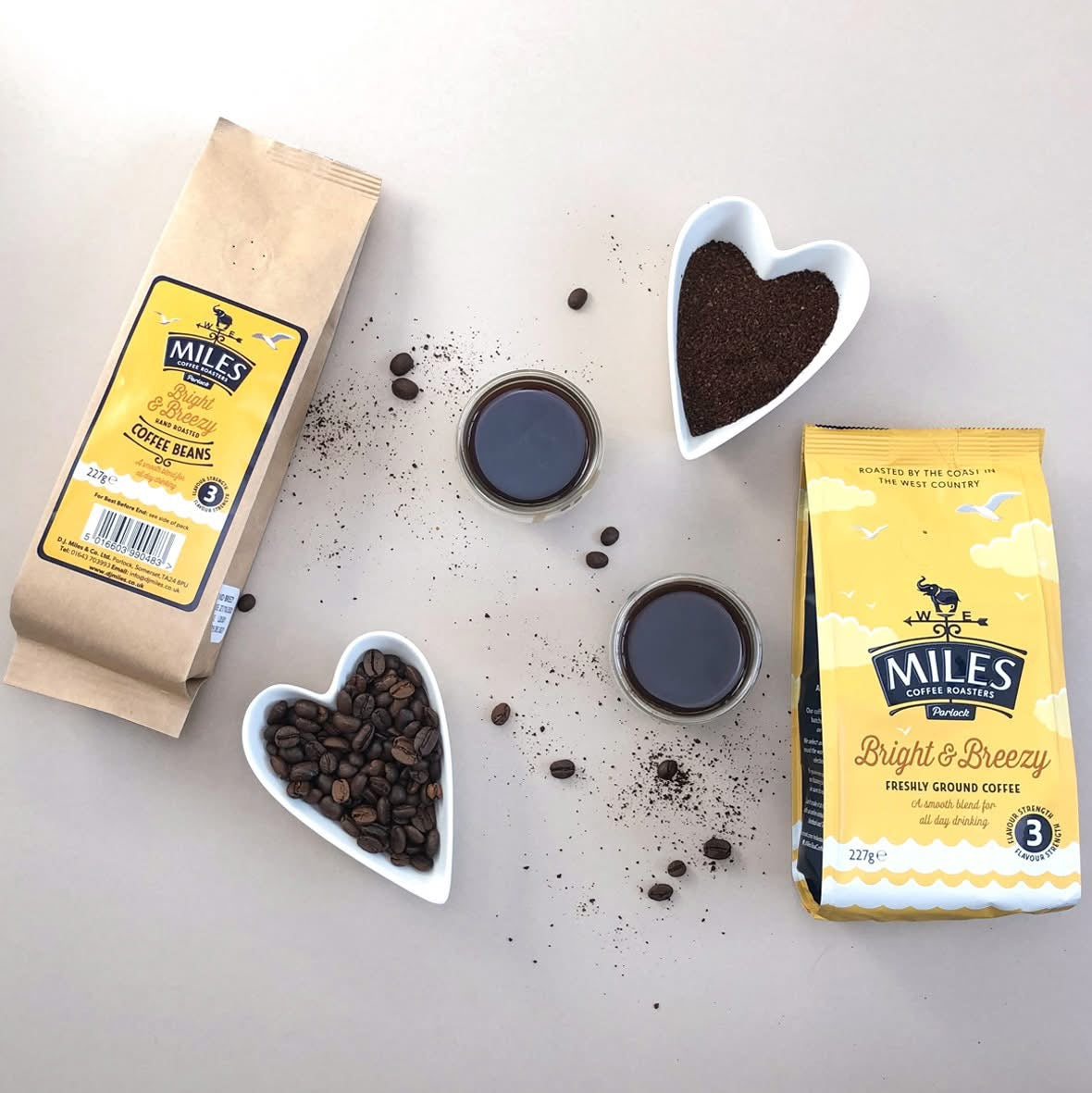 Light Roast vs Medium Roast vs Dark Roast Coffee Beans Explained