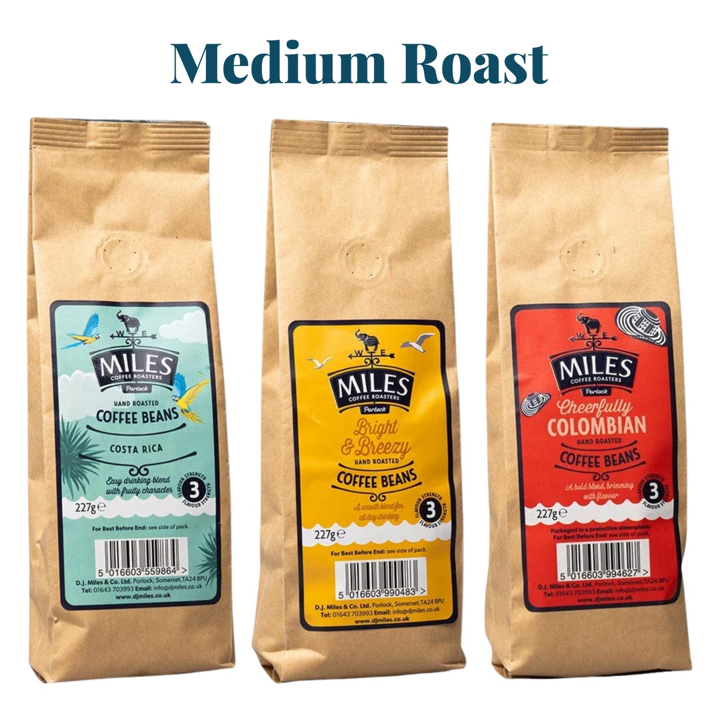 Miles Coffee Medium Roast Taster Pack – 3x 227g Hand-Roasted Coffee Beans | Costa Rica, Colombian & Bright Blend