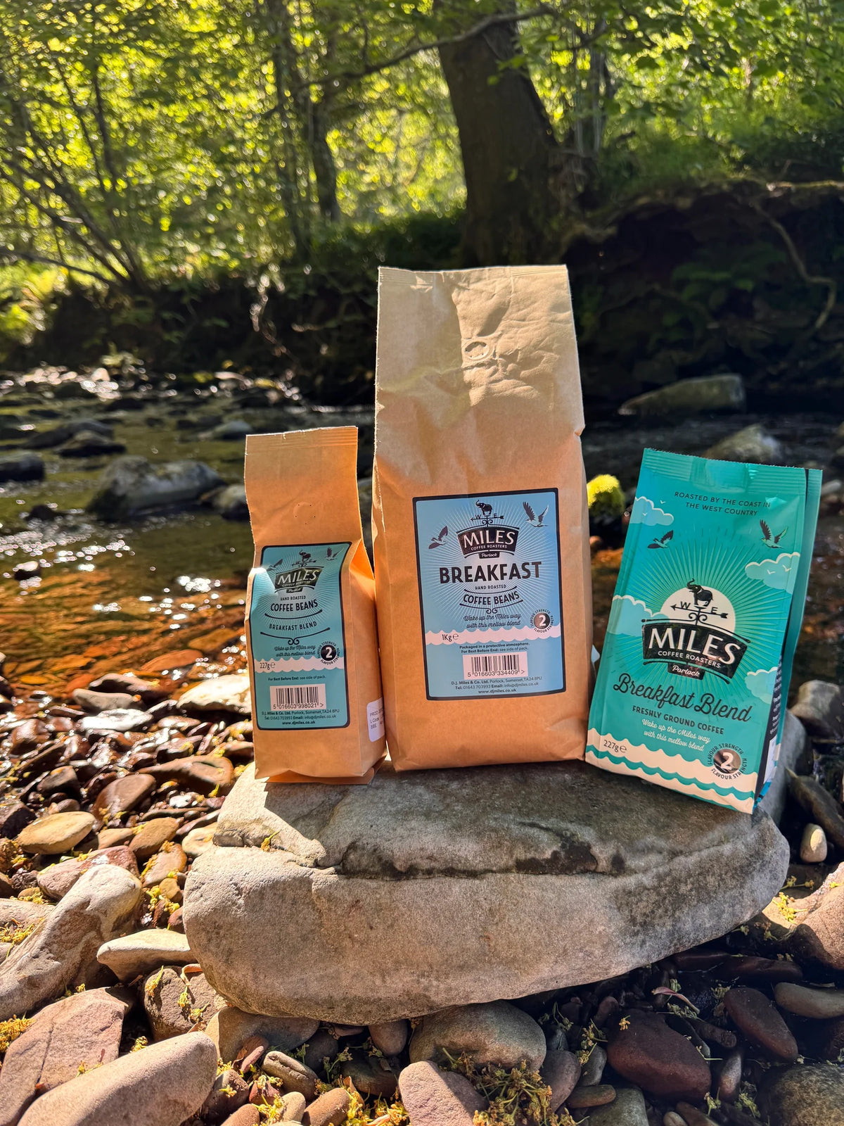 Miles Breakfast Coffee Beans 227g/1kg