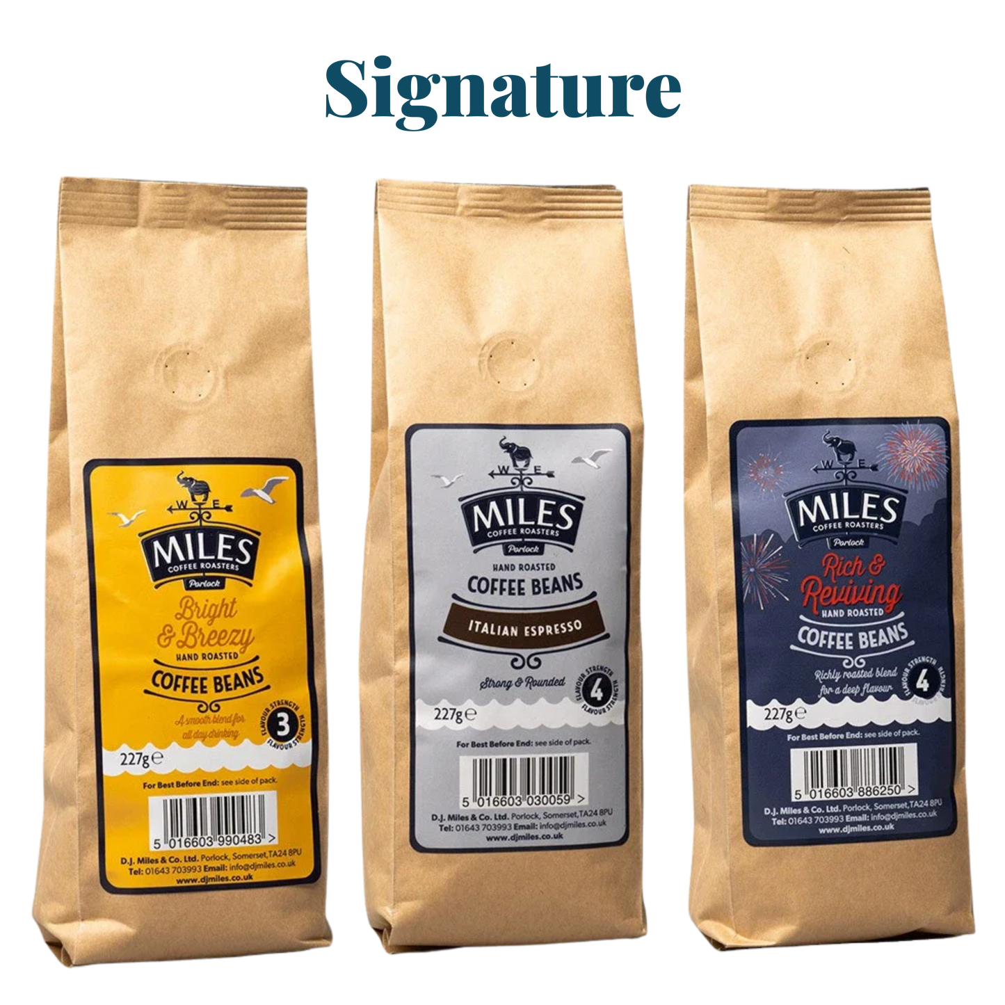 Miles Coffee Signature Taster Pack – 3x 227g Hand-Roasted Coffee Beans | Bright, Italian & Rich Blend